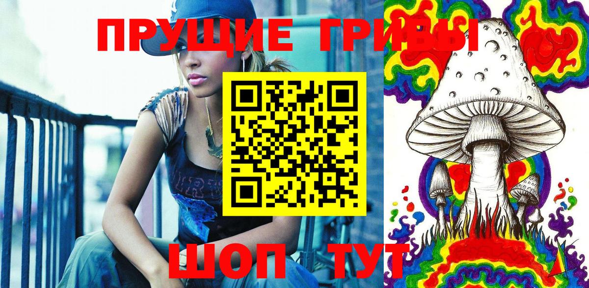 Псилоцибиновые грибы мицелий  Вход с VPN  Сунжа 
