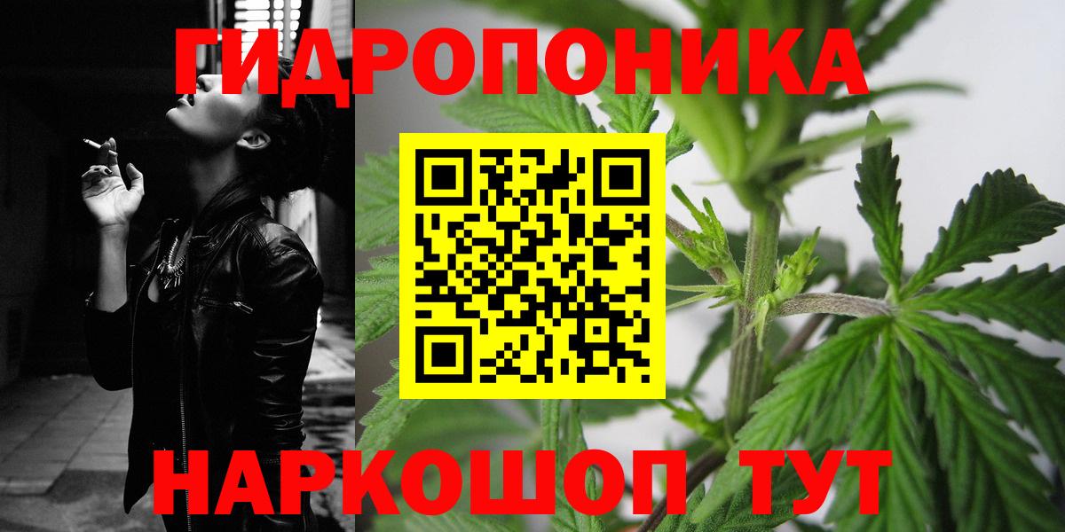 Бошки марихуана Ganja  Вход с VPN  Сунжа  МАРИХУАНА SATIVA & INDICA  Конопля конопля  Бошки марихуана Bruce Banner 